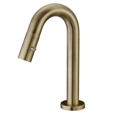 Salenzi Fonteinkraan Opbouw Giro Gebogen Gegalvaniseerd Geborsteld Messing Goud Salenzi Fonteinkraan Opbouw Giro Gebogen Gegalvaniseerd Geborsteld Messing Goud