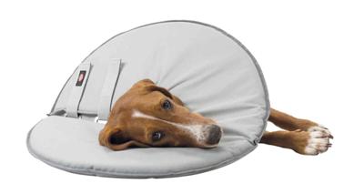 TRIXIE BESCHERMKRAAG SCHUIMRUBBER GRIJS XS 23-27X13 CM