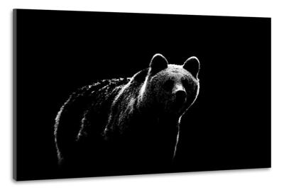 Schilderij -Beer in de schaduw, 100x70cm , wanddecoratie , premium print