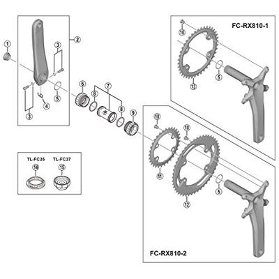 Shimano kettingblad 40t grx fc-rx810-1 Shimano kettingblad 40t grx fc-rx810-1