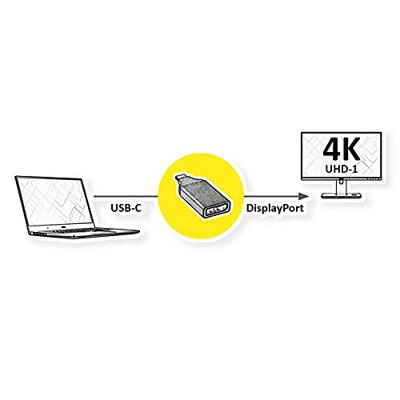 ROLINE GOLD Display Adapter USB Type C - DisplayPort v1.2