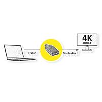 ROLINE Display Adapter USB Type C - DisplayPort v1.2 - thumbnail