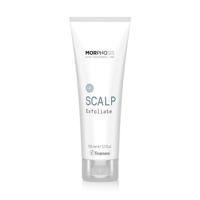 Framesi Morphosis Scalp Exfoliate 150ml - thumbnail