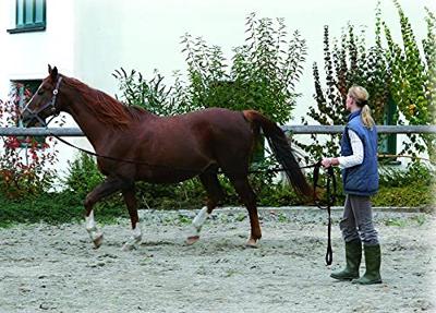 Longeerlijn donkerblauw 75 m