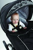 Baby Dan - Harnesses Lux - Zwart (3020-11) - thumbnail