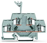 WAGO 281-636/281-488 Diodeklem 2-etages 6 mm Spanveer Toewijzing: L Grijs 50 stuk(s) - thumbnail