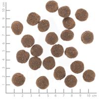 WOLFSBLUT VetLine Hypoallergenic Horse with sweet potatoes - droog hondenvoer - 2kg - thumbnail