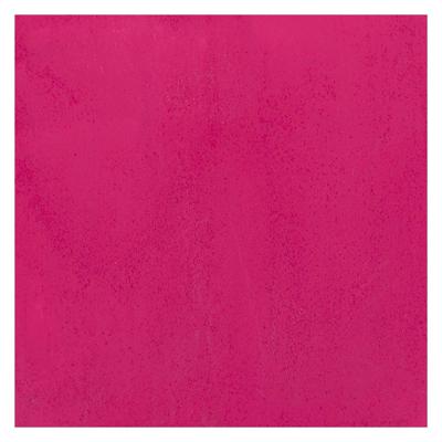 Bruynzeel Ecola plakkaatverf fles 16ml tyrischroze 359 Bruynzeel Ecola plakkaatverf fles 16ml tyrischroze 359