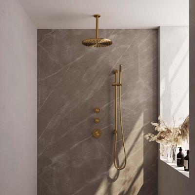 Regendoucheset Inbouw Brauer Gold Edition Thermostatisch 30 cm met Plafondarm, Glijstang en Handdouche Staaf Losse Stopkranen Geborsteld Goud Brauer Regendoucheset Inbouw Brauer Gold Edition Thermostatisch 30 cm met Plafondarm, Glijstang en Handdouche Staaf Losse Stopkranen Geborsteld Goud Brauer