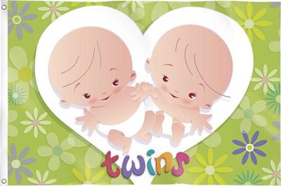 Gevelvlag "Twins" 90x60cm