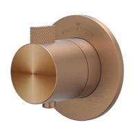 Afbouwdeel IVY Tribe Inbouwthermostaat Symmetry Met Rond Rozet RVS316 Geborsteld Mat PVD IVY - thumbnail