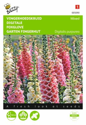 Digitalis, Vingerhoedskruid Gemengd Digitalis, Vingerhoedskruid Gemengd