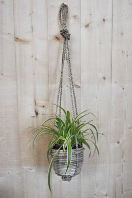 Graslelie in hangende pot beige/grijs Warentuin Natuurlijk - Warentuin natuurlijk Graslelie in hangende pot beige/grijs Warentuin Natuurlijk - Warentuin natuurlijk