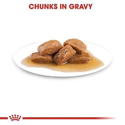 Royal Canin Maxi Ageing natvoer hond (in saus) 4 dozen (40 x 140 g) - thumbnail