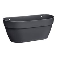 Elho Vibia Campana wall basket wandbak 35 cm antraciet - thumbnail