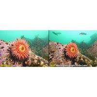 Sealife SL052 Ultra-Wide Angle Dome lens voor Micro-series enRM4K - thumbnail