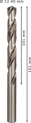 Bosch Accessories 2608585541 2608585541 HSS Metaal-spiraalboor 12.4 mm Gezamenlijke lengte 151 mm Geslepen DIN 338 Cilinderschacht 5 stuk(s) Bosch Accessories 2608585541 2608585541 HSS Metaal-spiraalboor 12.4 mm Gezamenlijke lengte 151 mm Geslepen DIN 338 Cilinderschacht 5 stuk(s)