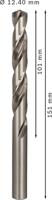 Bosch Accessoires Metaalboren HSS-G, Standard 12,4 x 101 x 151 mm 5st - 2608585541 - thumbnail