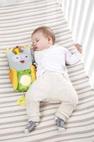 Musical sleepy owl - thumbnail