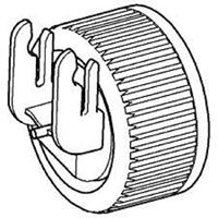 Noorse esdoorn - thumbnail