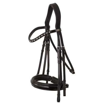 BR Hoofdstel Wendover Stang & trens zwart maat:full