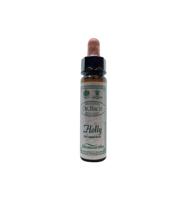Ainsworths Holly Bach 10 Milliliter - thumbnail