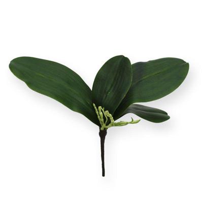 Kunst Orchidee Bladtoef S