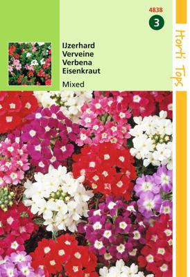 Zaden Verbena IJzerhard gemengd Hortitops - Hortitops
