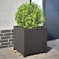 VidaXL Plantenbak 50x50x50 cm staal zwart - thumbnail