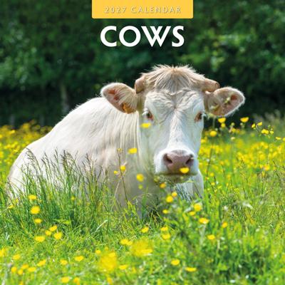 Koeien Kalender 2027