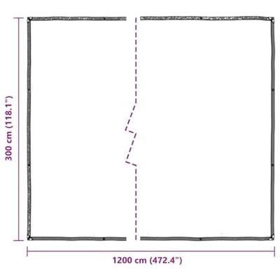 Doorzichtig zeildoek met zeilringen 3x12 m polyethyleen