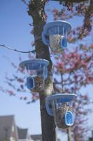 Singing Friend vogelvoederhuisje blauw - thumbnail