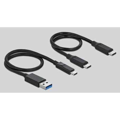 DeLOCK 91754 geheugenkaartlezer USB 3.2 Gen 1 (3.1 Gen 1) Type-C Grijs
