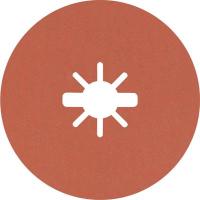 Bosch Accessories 2608621805 Fiberschijf Diameter 115 mm Boordiameter 22.23 mm 5 stuk(s)