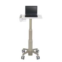 Ergotron CAREFIT SLIM LAPTOP CART PC/monitor-trolley Aantal monteerbare displays: 1 Display(s) Grijs - thumbnail