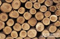 Noordwand Farmlife Fotobehang boomstammen - 3750011 - thumbnail
