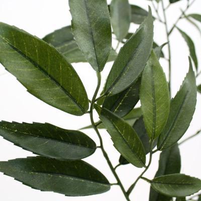 Shirakashi Tak x83 FR