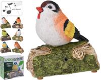 Vogel met Geluid - thumbnail