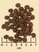 Wildcat Adult Rani droogvoer 3 kg - thumbnail