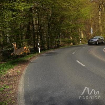 Gardigo Wildredder Functies: Ultrasoon 1 stuk(s) Gardigo Wildredder Functies: Ultrasoon 1 stuk(s)