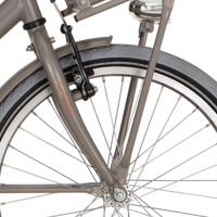 Alpina voorvork 20 cargo m vintage gold met matt - thumbnail