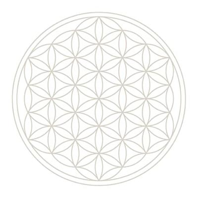 Vitaalwater Karaf Beauty Platina van Glas - 5000 ml