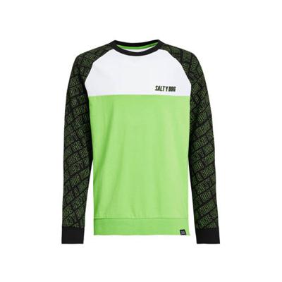 WE Fashion Salty Dog longsleeve Salty Dog lichtgroen/wit WE Fashion Salty Dog longsleeve Salty Dog lichtgroen/wit