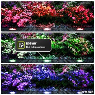 Set van 3 Lilly Smart Grondspots buiten - 5,5 Watt 345 lumen - RGBWW - Wifi + Bluetooth - Kantelbaar - Bestuurbaar via app - IP67 - Google Home - Amazon Alexa - RVS