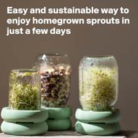 Food Huggers Sprout huggers - kweek je eigen groenten - sage green - thumbnail