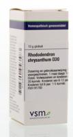 VSM Rhododendron chrysanthum D30 10 Gram - thumbnail