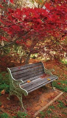 Bankje 70x130cm Tuinschilderij Customize-it - Customize it