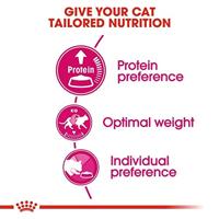 Royal Canin Protein Exigent kattenvoer 2 x 10 kg - thumbnail