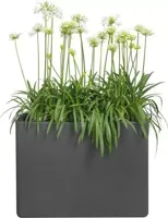 elho Pure Soft Brick Divider Plantenbak B 80 cm - Antraciet - thumbnail