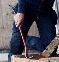 KOEVOET STAAL 109/12 - thumbnail